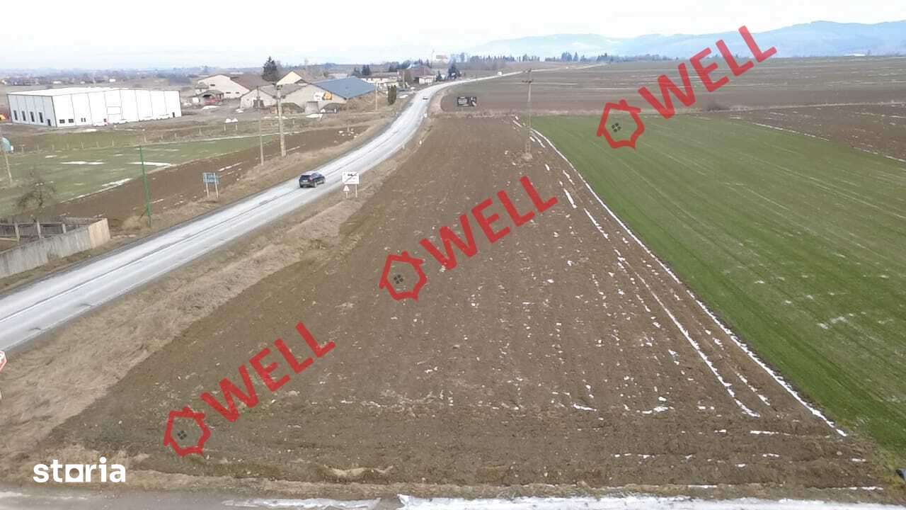 Teren intravilan de vânzare în Tușnad! - Imagine principală: 2/8