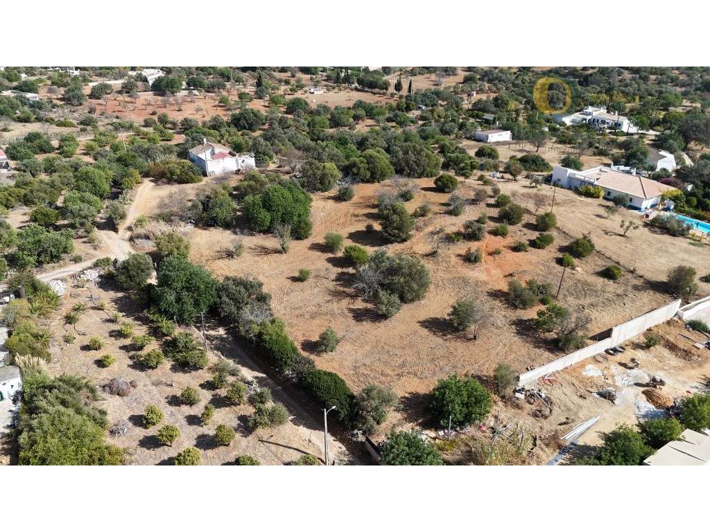 Terreno Rústico- 4.000 m² de Tranquilidade e Natureza - Grande imagem: 2/18