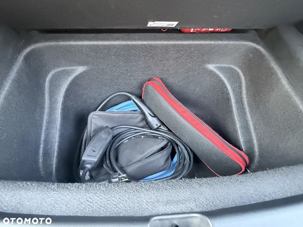 Tesla Model Y Performance AWD - 30