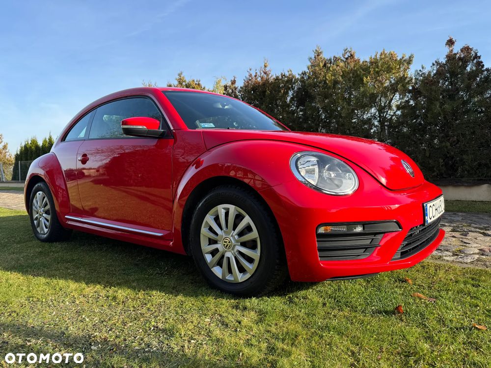 Volkswagen Beetle - 9