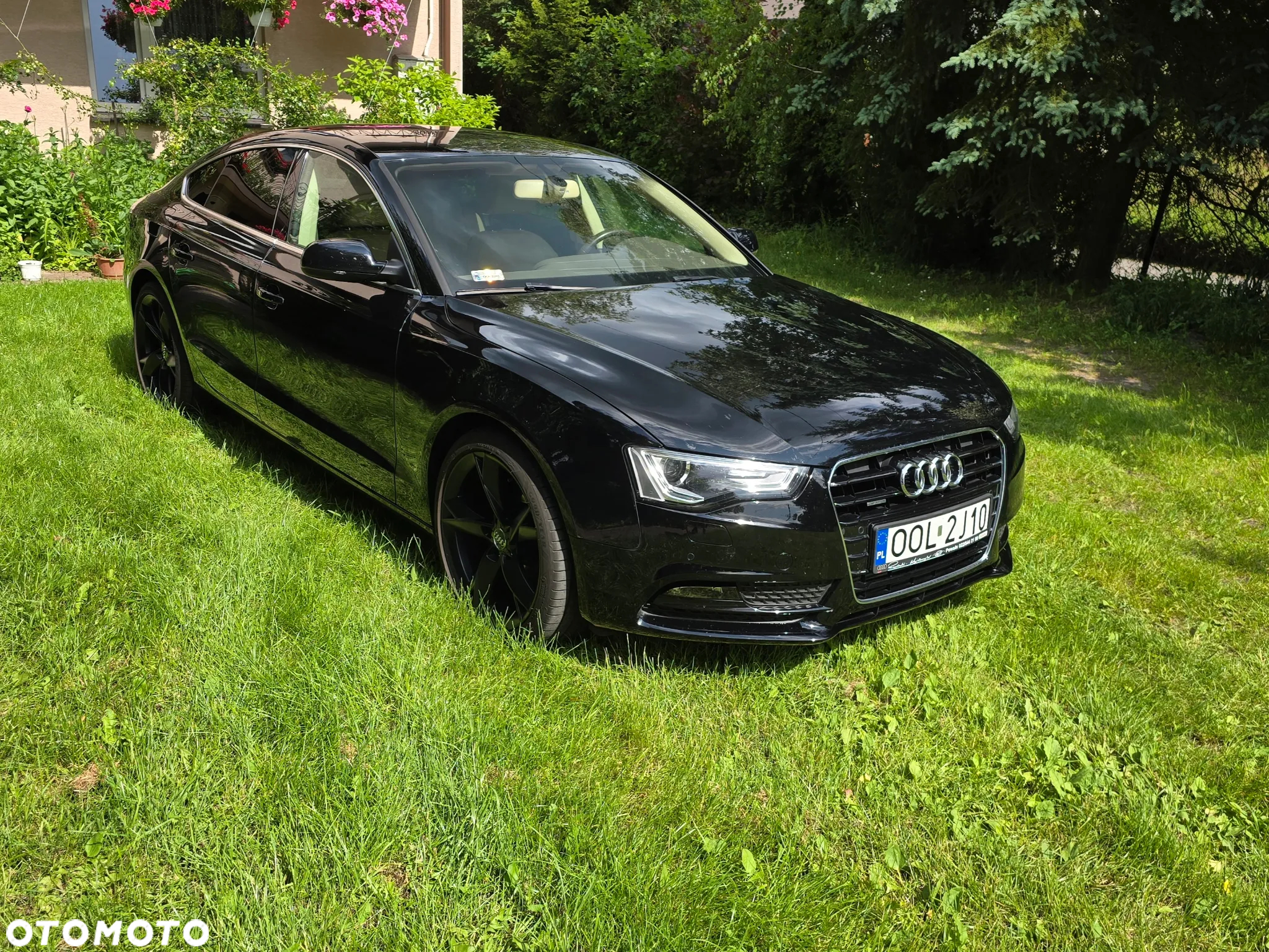Audi - 7