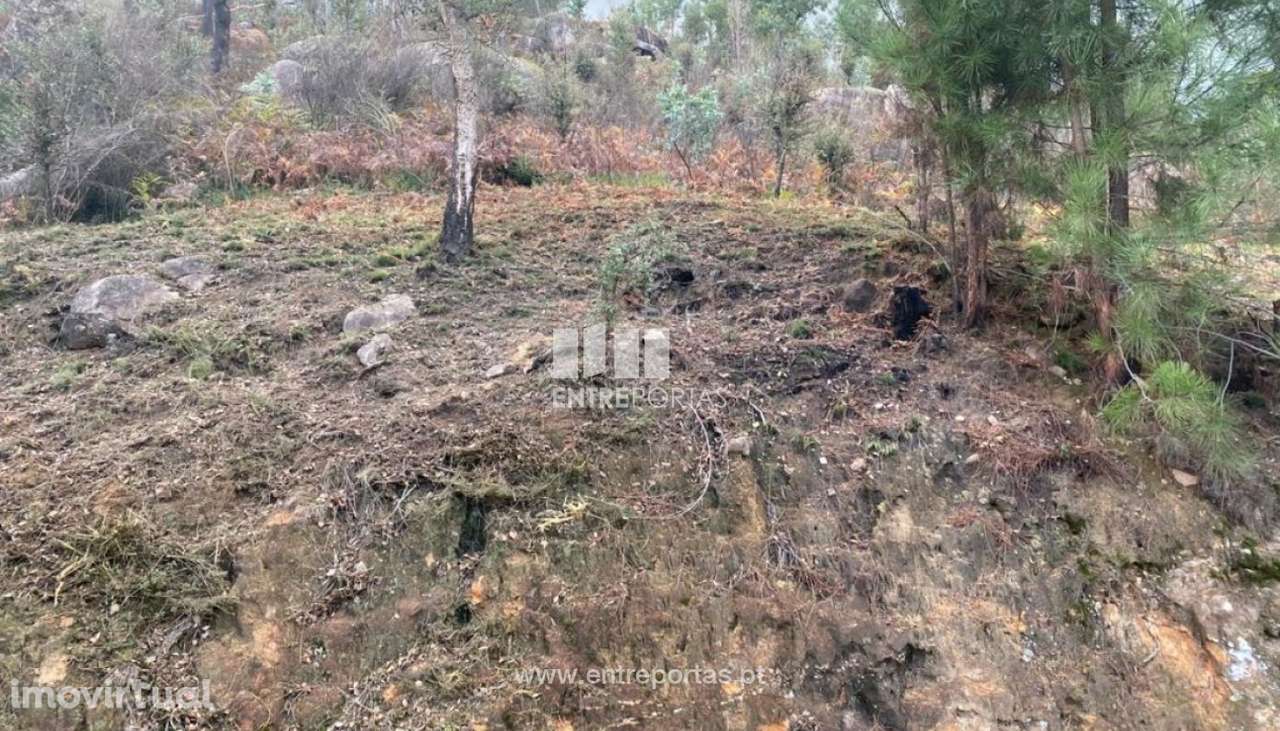 Venda Terreno, Penha Longa, Marco de Canaveses - Grande imagem: 5/25
