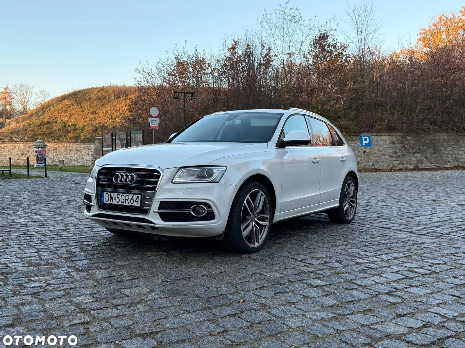 Audi SQ5 - 2