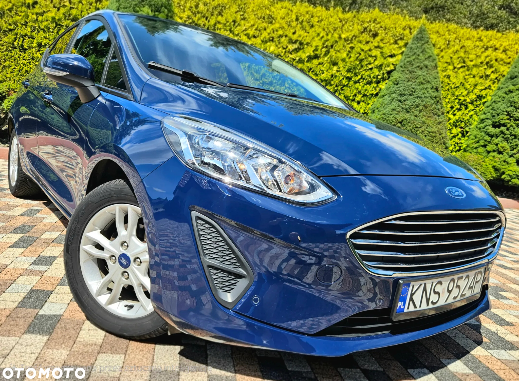Ford Fiesta - 15