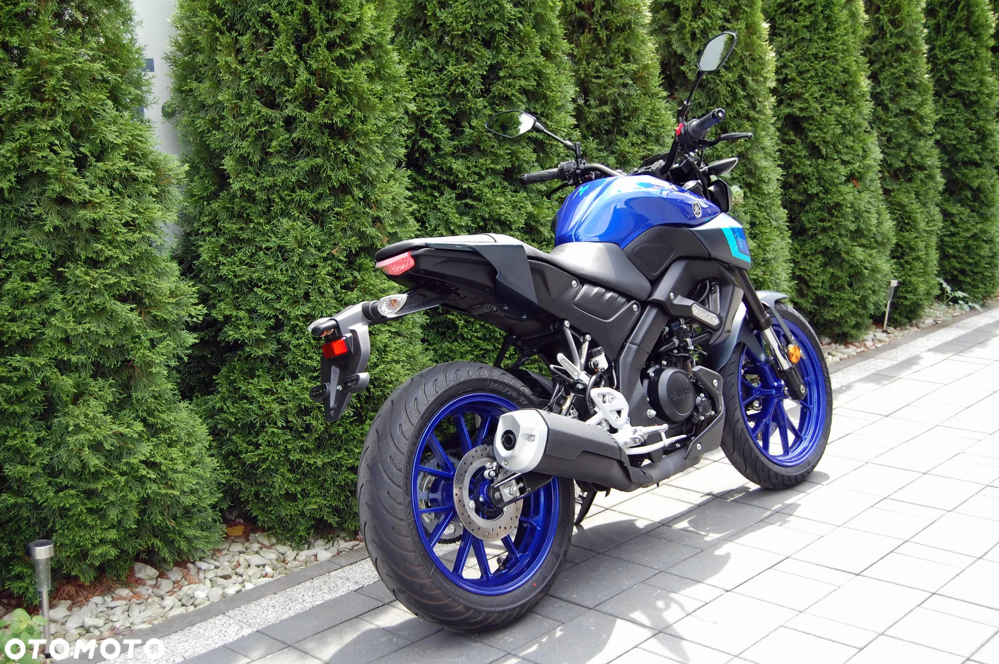Yamaha MT - 3