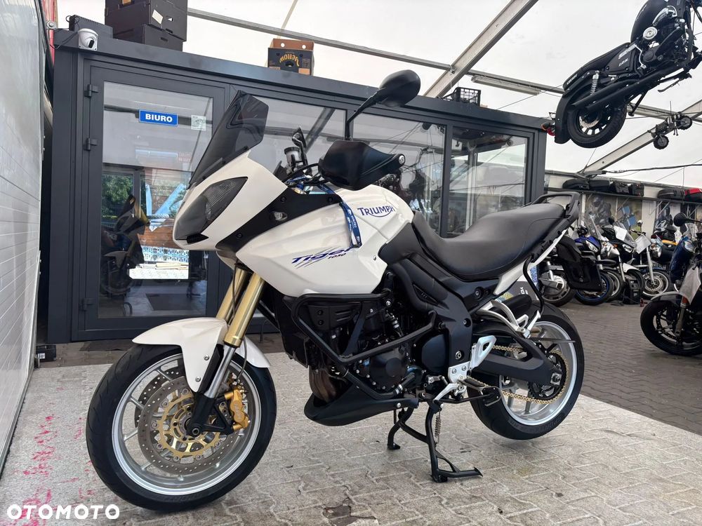 Triumph Tiger - 31