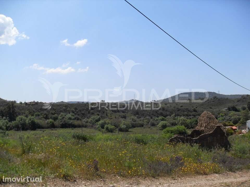 S. BARTOLOMEU DE MESSINES. Terrenos misto para agircultura e habitação - Grande imagem: 4/16