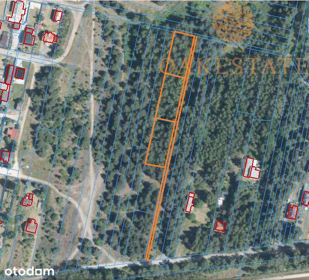 działki 1100 m2, cisza i zieleń - Pełny obrazek: 5/7