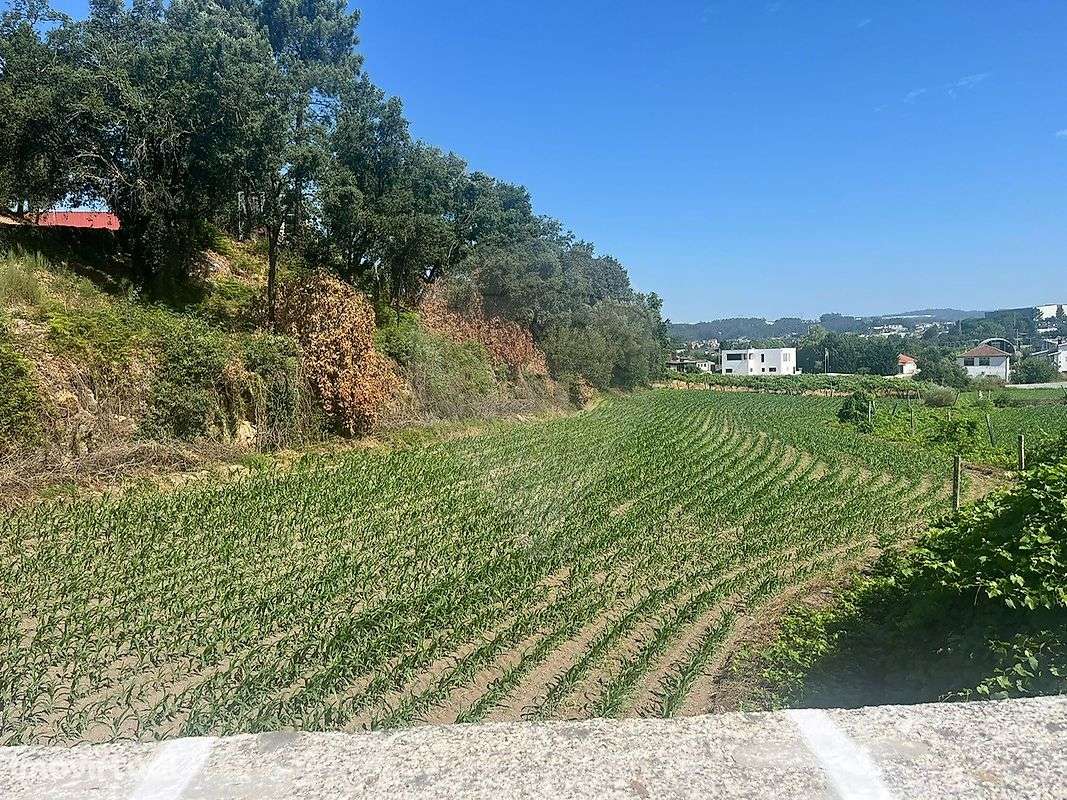 Terreno  para arrendamento - Grande imagem: 2/4