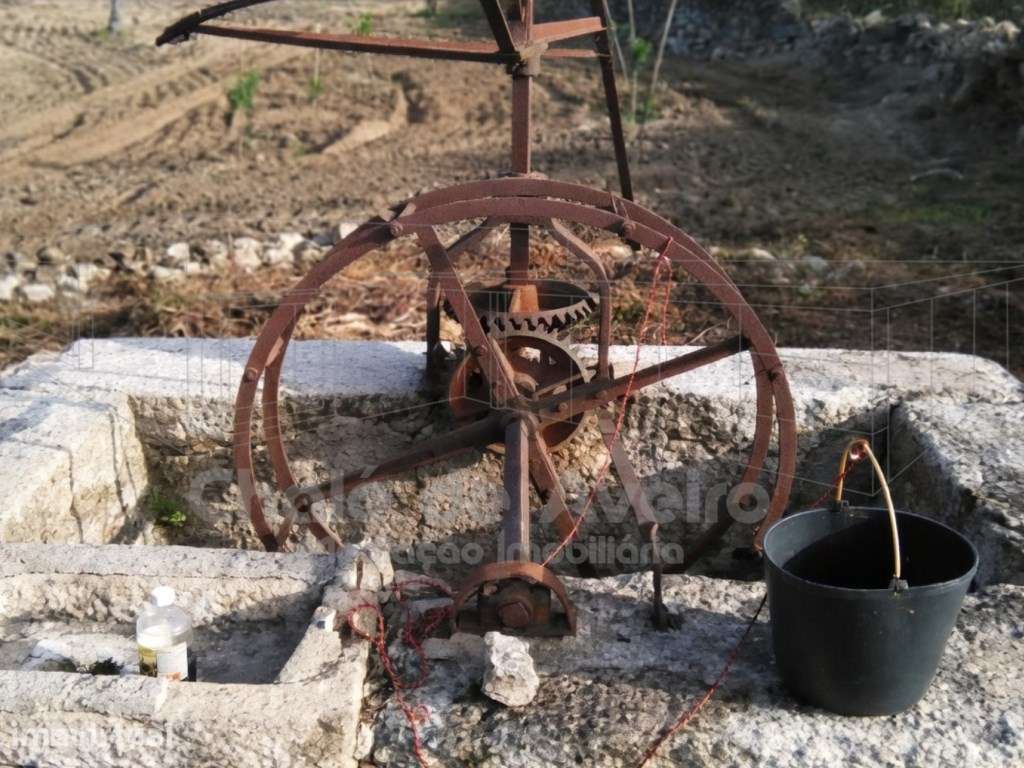 Herdade com 3 Hectares e 200 Oliveiras em Nisa, Portalegre - Grande imagem: 5/15