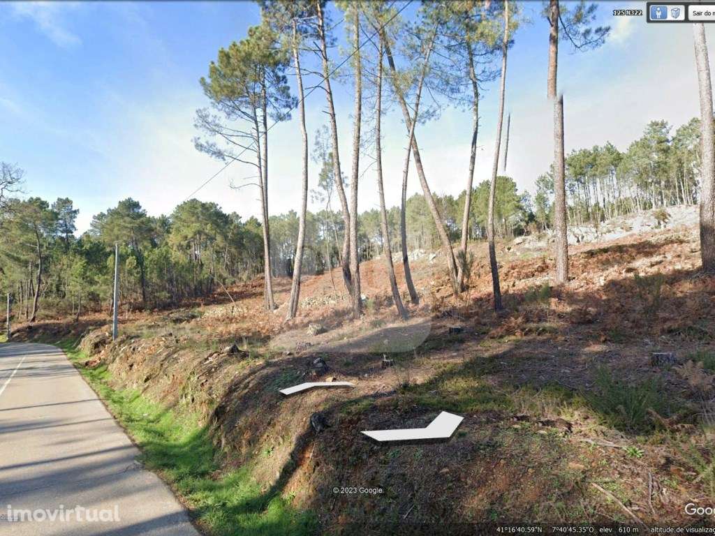 Terreno Junto à N322 na Freguesia de Constantim e Vale de Nogueiras - Grande imagem: 2/5