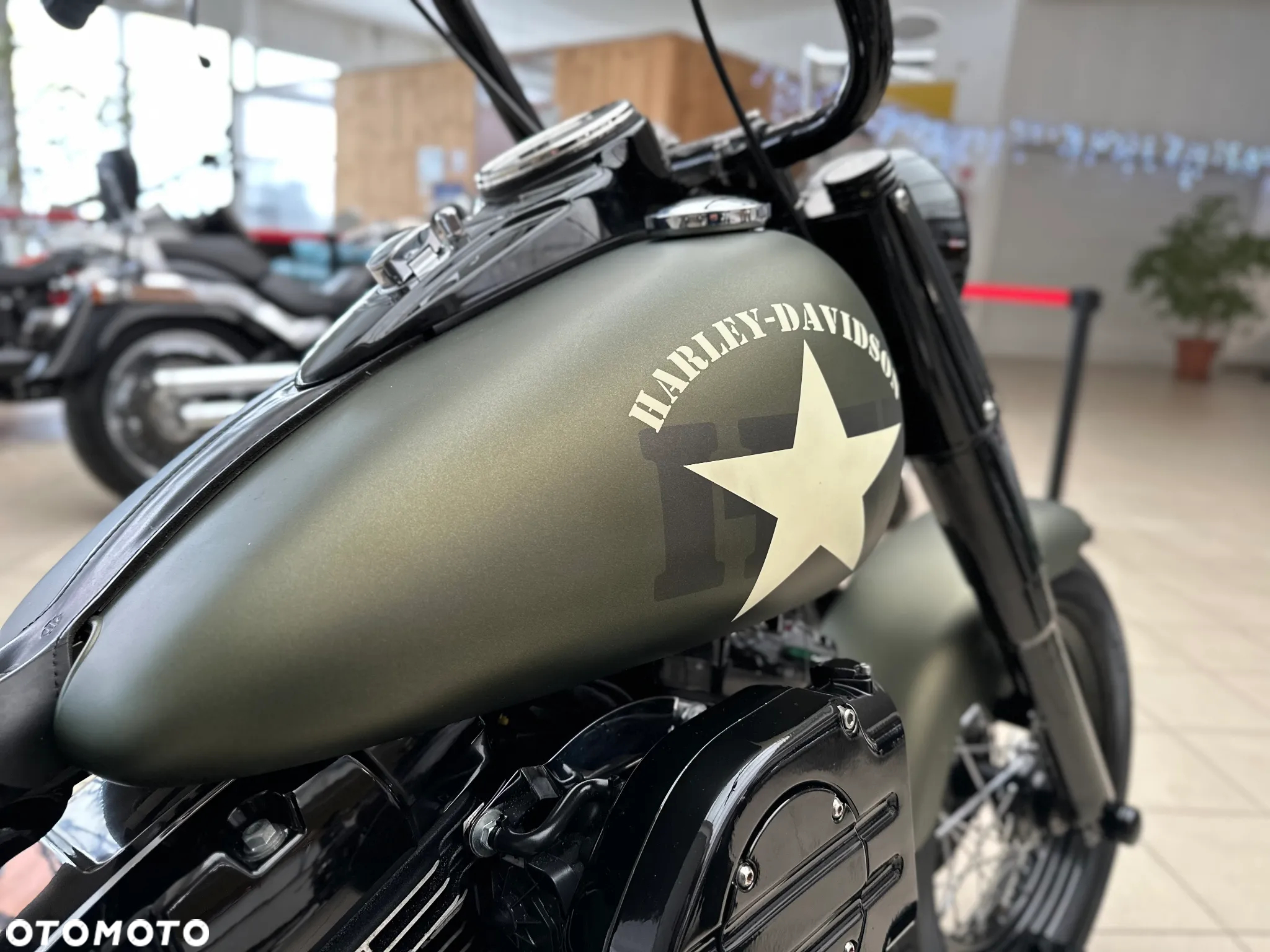 Harley-Davidson Softail Slim - 20
