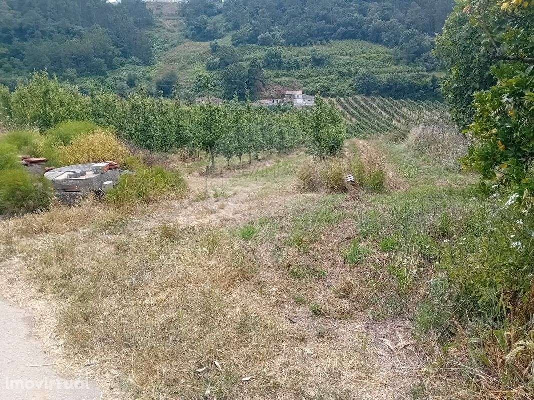 Terreno  para venda - Grande imagem: 2/10