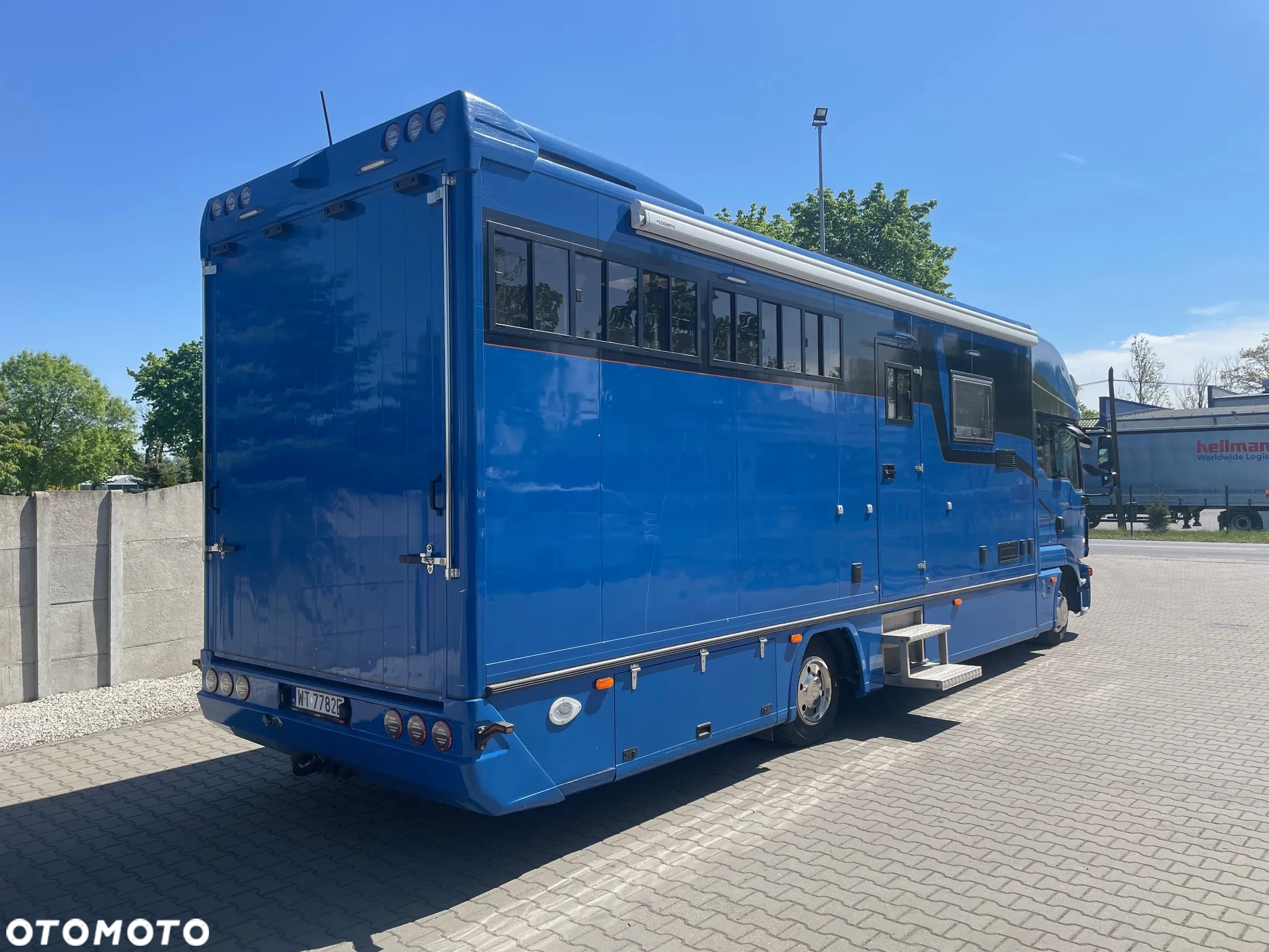 MAN TGL 12.250/ KONIOWÓZ- ROELOFSEN/ 4 KONIE/ - 4