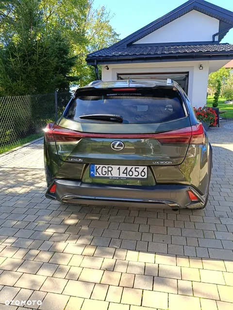 Lexus Inny - 2