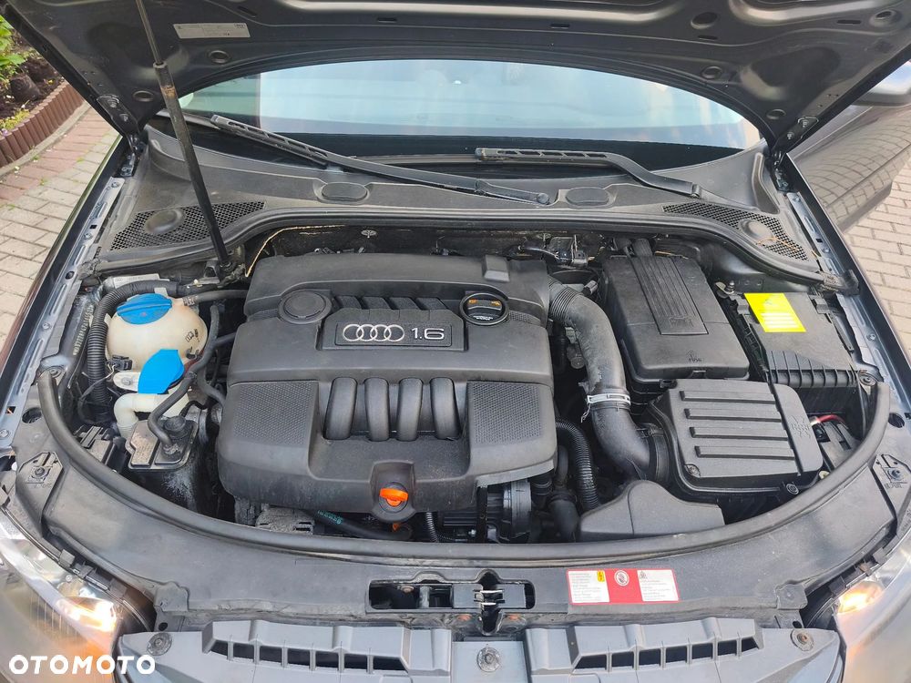 Audi A3 3-drzwiowe 1.6 Ambiente - 20
