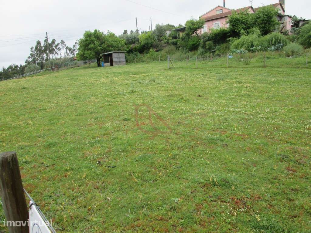 Terreno para construção/Ourém/Atouguia - Grande imagem: 3/8