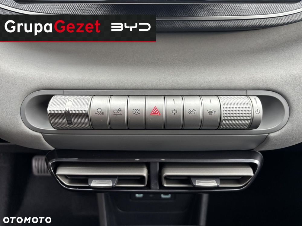 BYD Dolphin Surf 43.2kWh Boost - 18