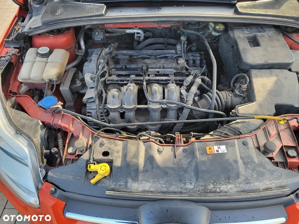 Ford Focus 1.6 Trend Sport - 23