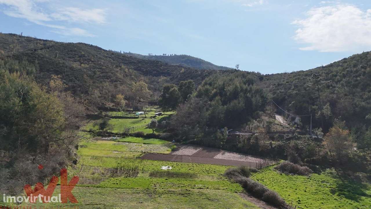 Quinta com 3 hectares com ribeiro e poço de água - Grande imagem: 4/23