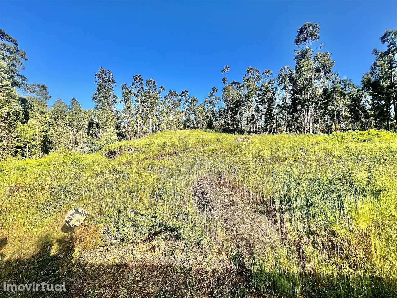 Terreno  Venda em Sobrado e Bairros,Castelo de Paiva - Grande imagem: 2/13