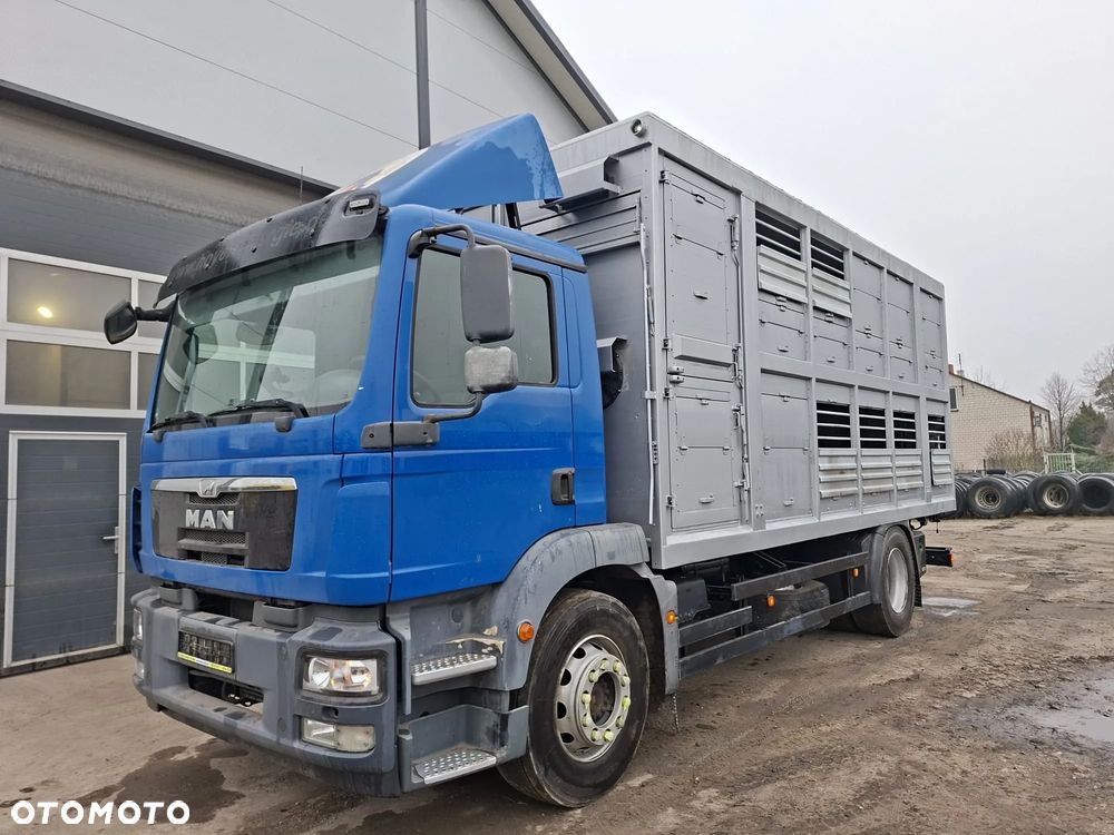 MAN TGM 18.250 4x2 DO ŻYWCA - 4