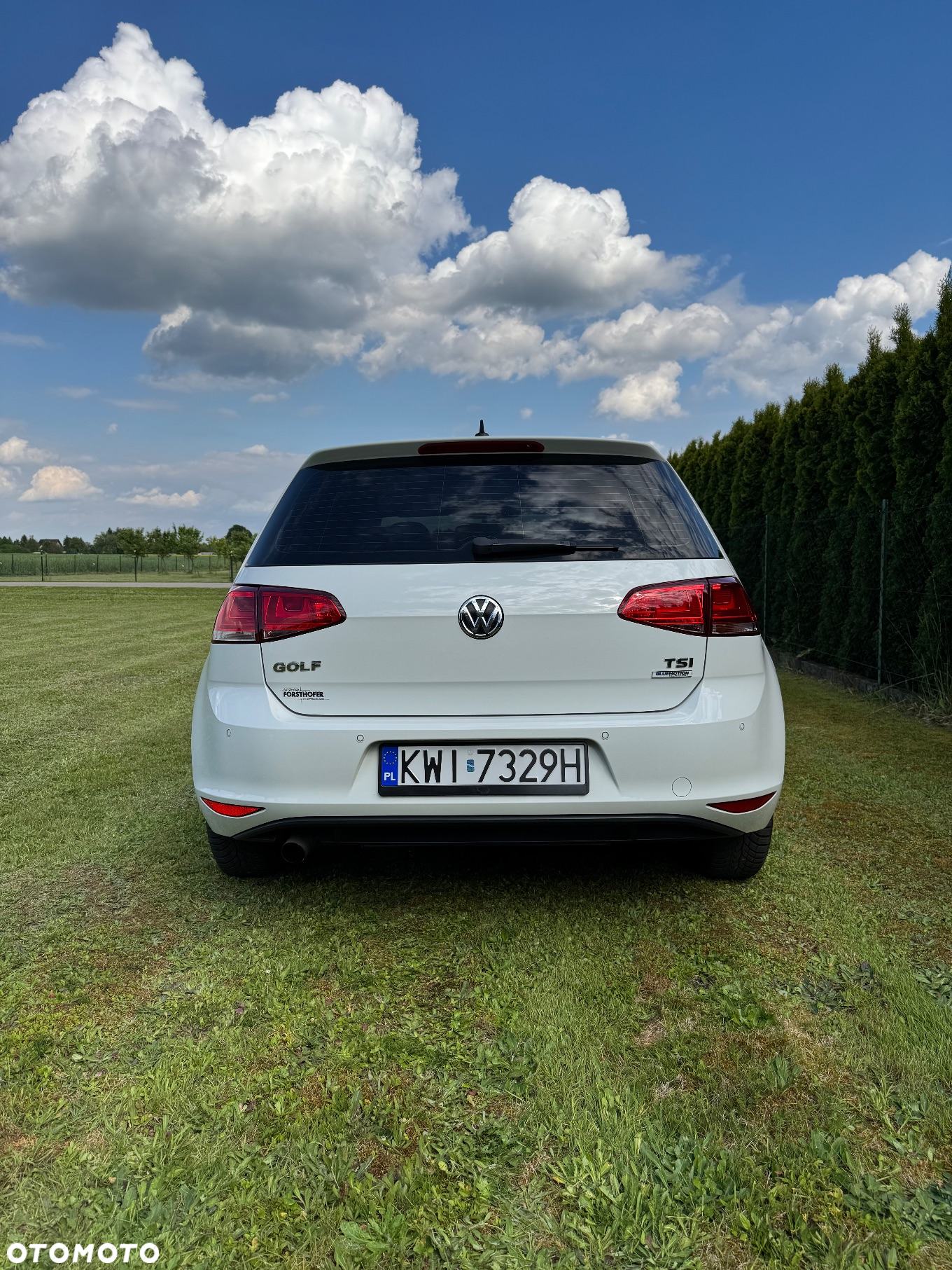 Volkswagen Golf - 9