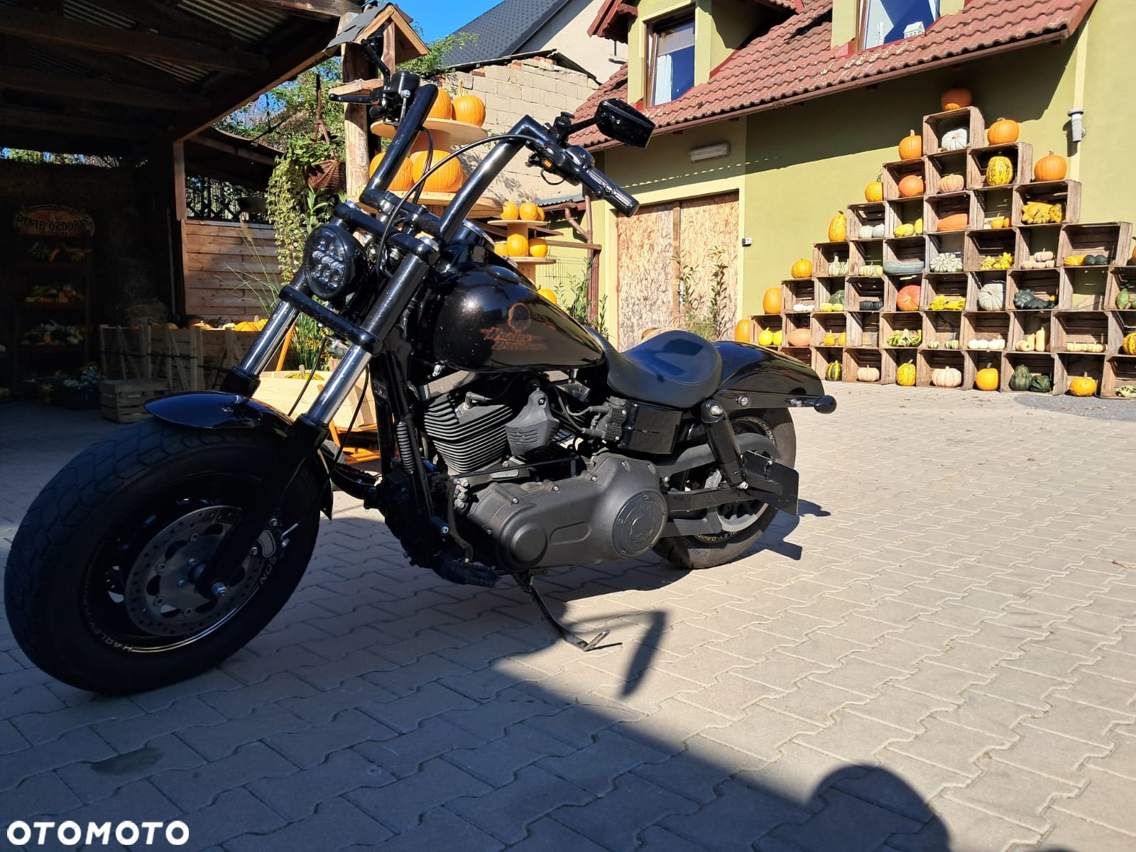 Harley-Davidson Dyna Fat Bob - 2