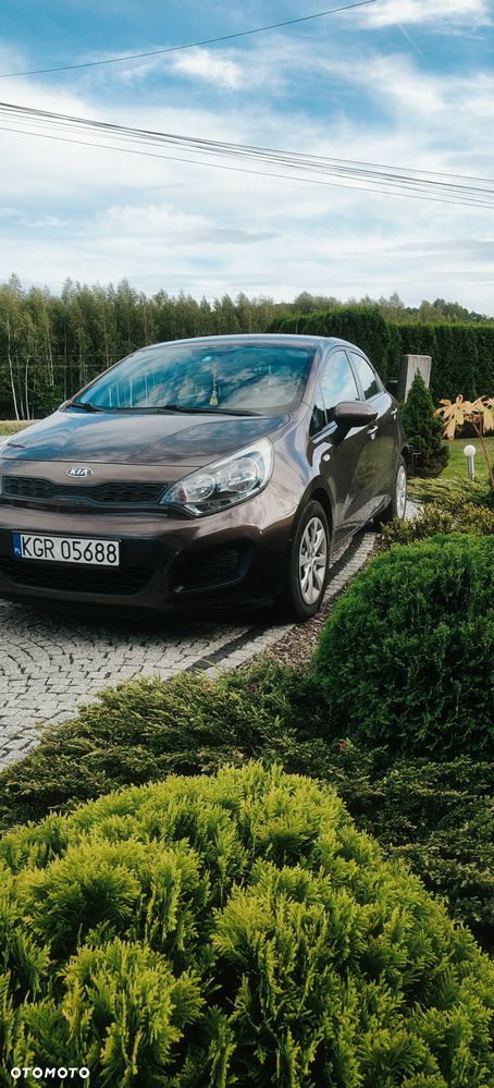 Kia Rio - 5