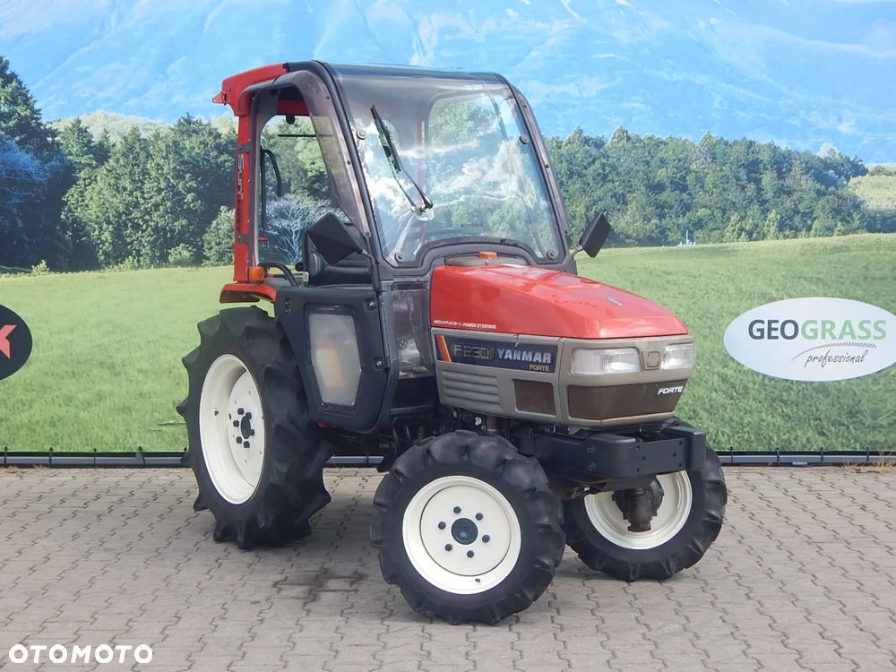 Yanmar F230D - 3