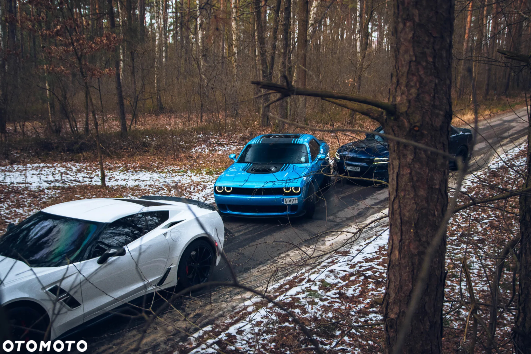 Dodge Challenger Automatik R/T Plus Shaker - 32