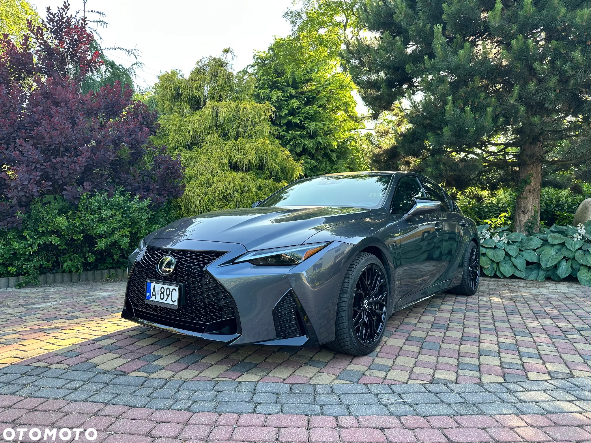 Lexus IS - 2