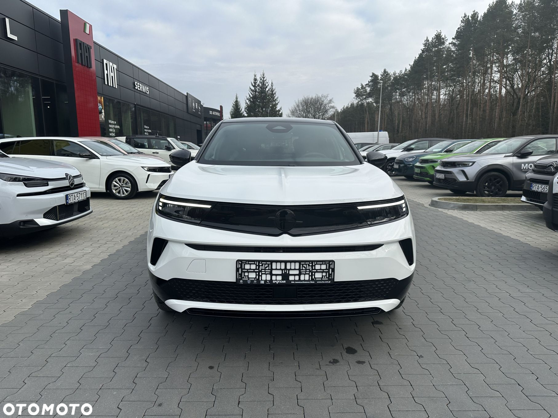 Opel Mokka Mokka-e 54kWh GS - 3