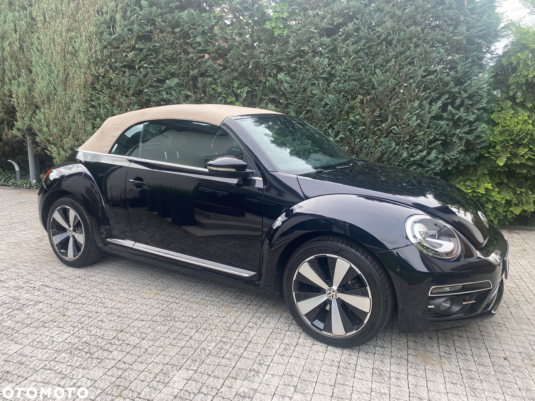 Volkswagen Beetle - 9
