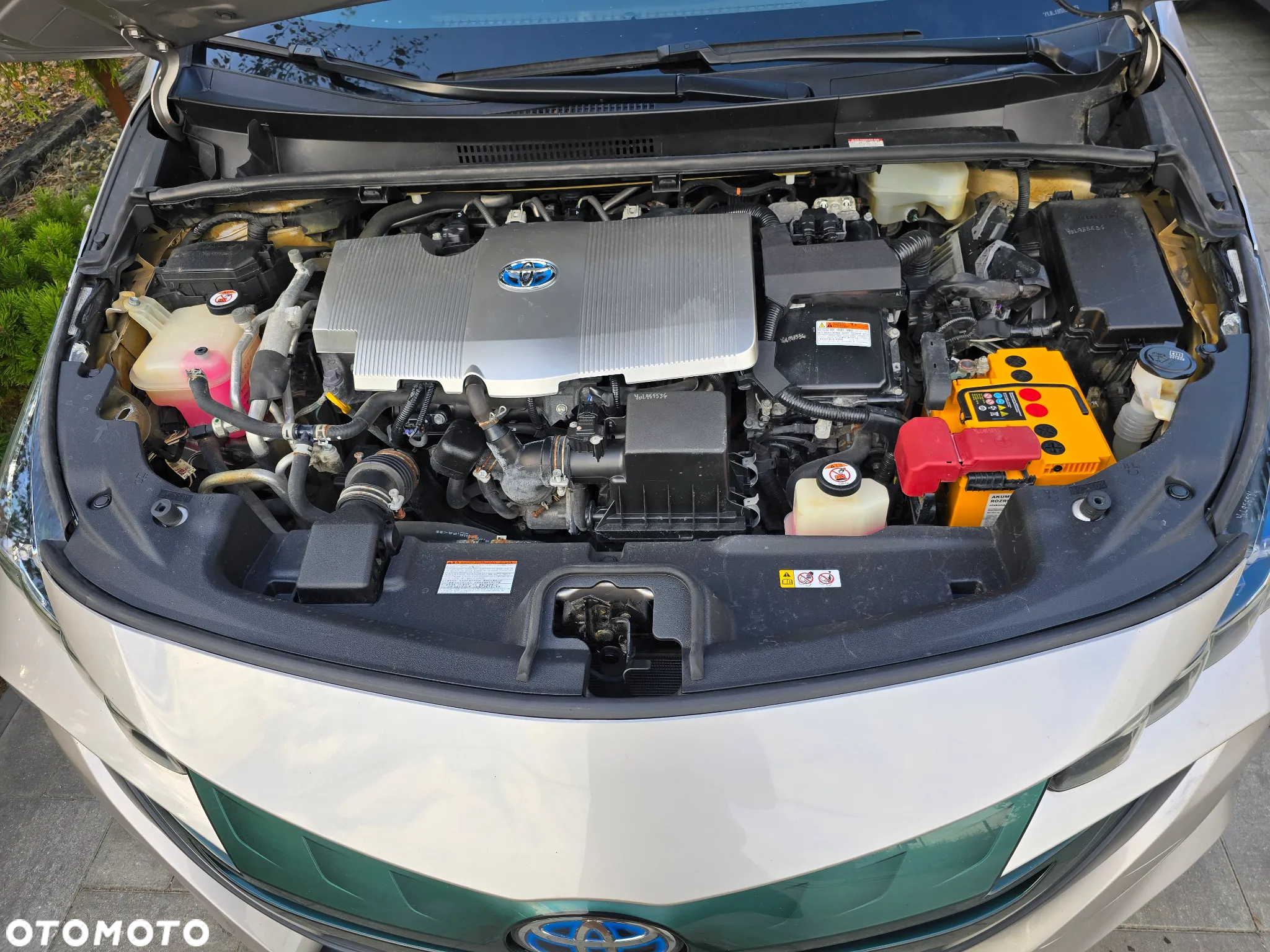 Toyota Prius - 8