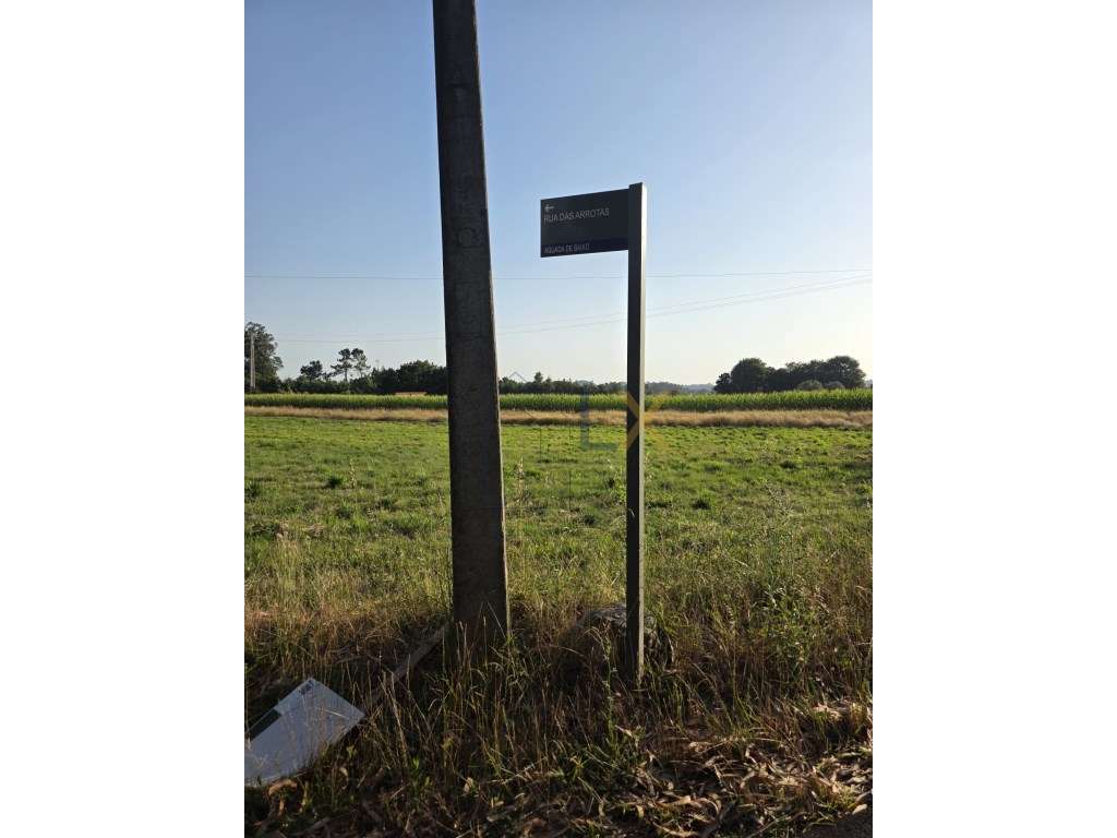 Terreno em Agueda com excelente frente - Grande imagem: 3/6