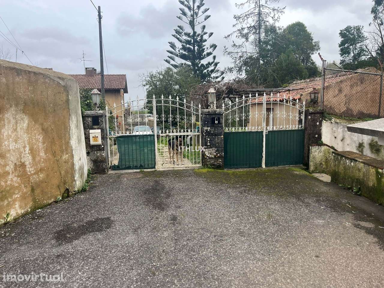 Quinta Sintra - 10 minutos do Centro da Vila - 5 minutos IC19-A16 - Grande imagem: 2/32