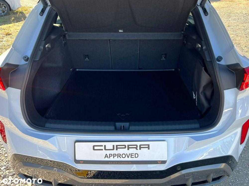 Cupra Terramar - 12