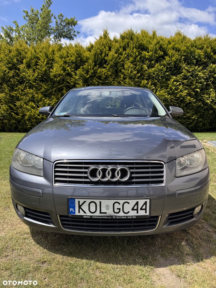 Audi A3 3-drzwiowe 1.9 TDI DPF Ambition - 18
