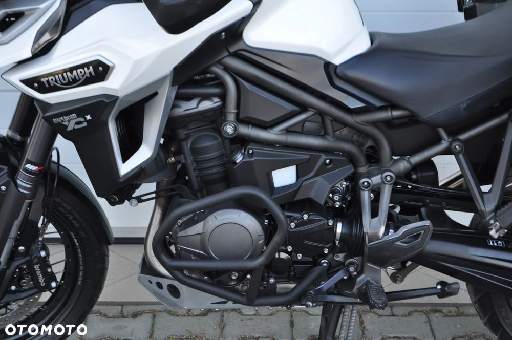 Triumph Tiger - 26