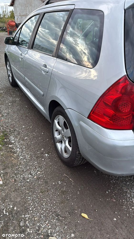 Peugeot 307 1.6 Trendy - 10