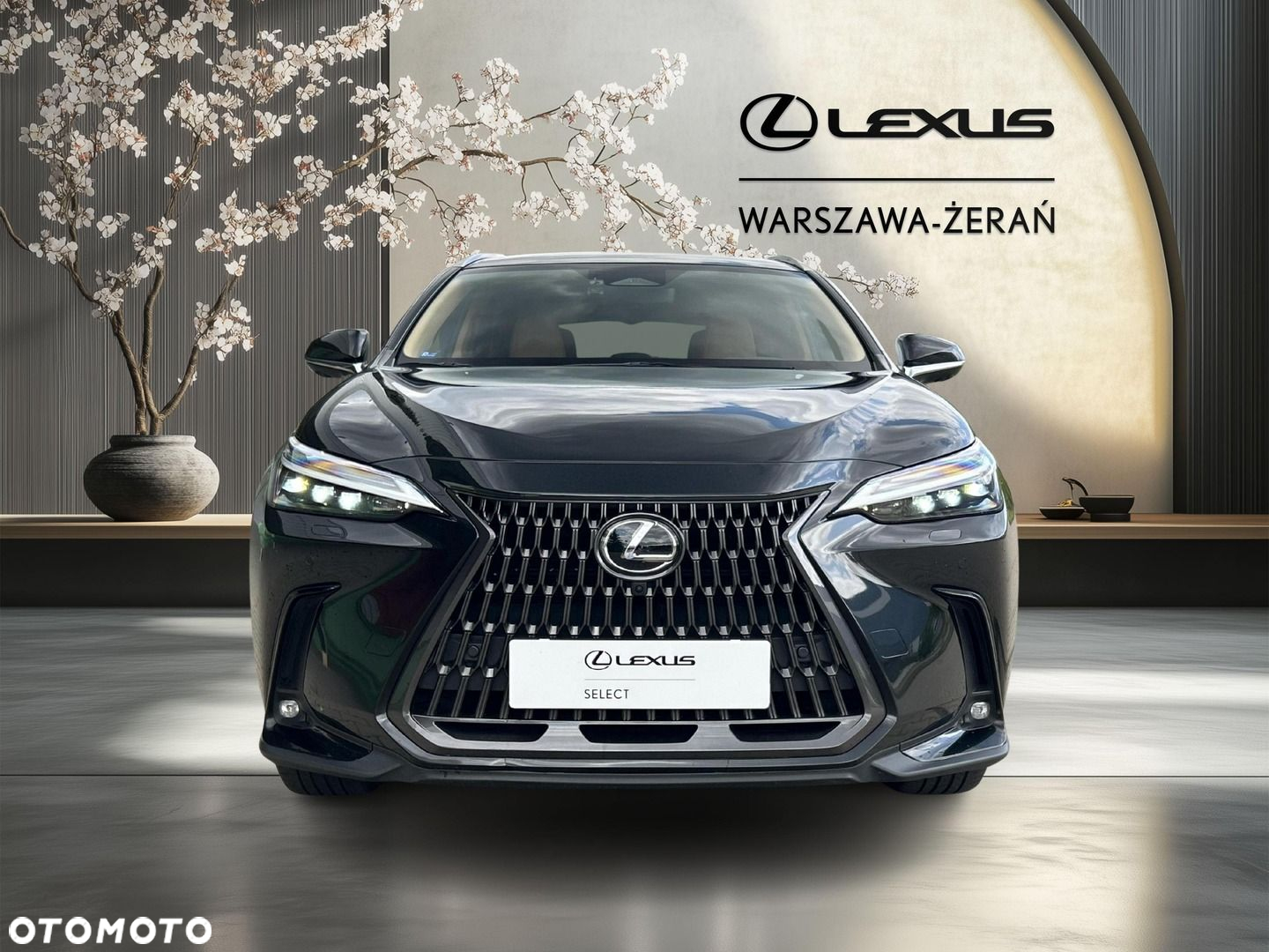 Lexus NX - 10