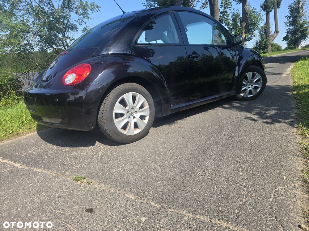 Volkswagen New Beetle - 6