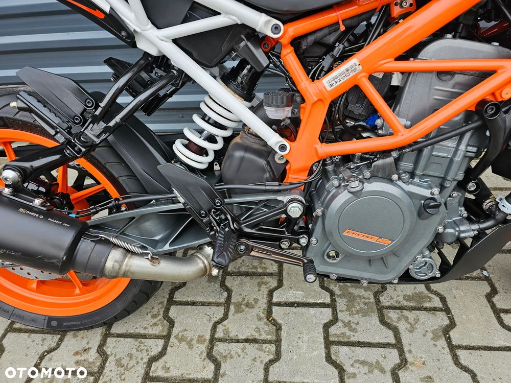 KTM Duke - 19