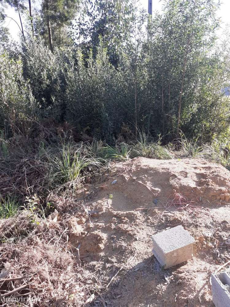 Terreno Urbano | Olival - Grande imagem: 4/9