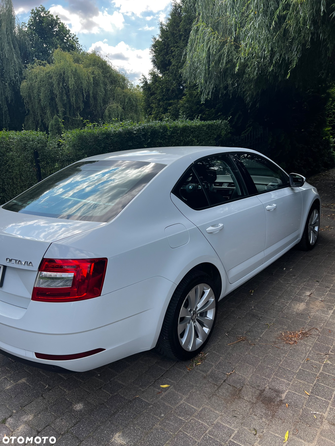 Skoda Octavia 1.0 TSI Ambition DSG - 4