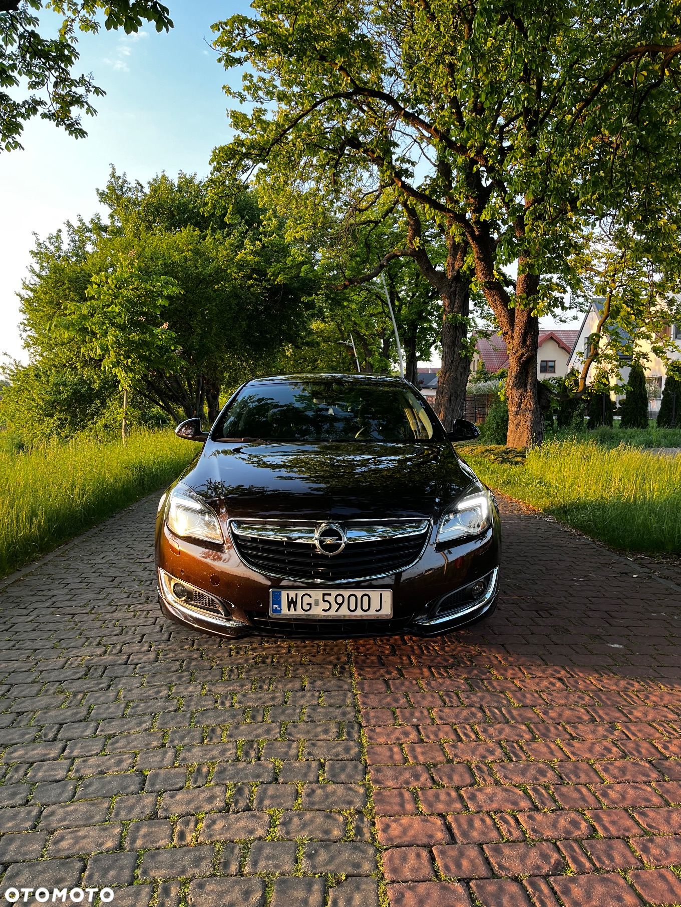 Opel Insignia 1.6 SIDI Turbo Sports Tourer - 6