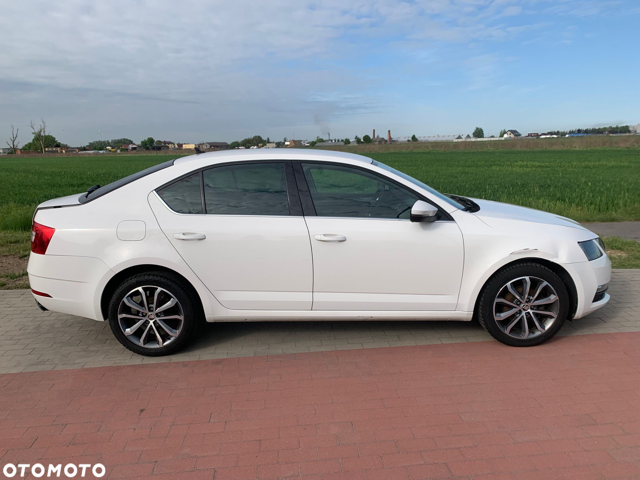 Skoda Octavia 1.6 TDI DSG Ambition - 9
