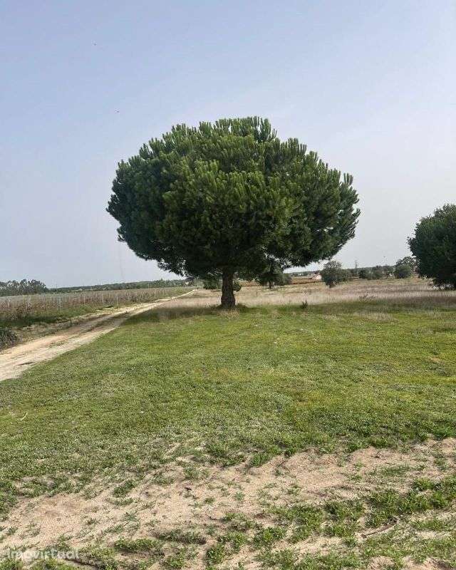 Terreno  para venda - Grande imagem: 2/7