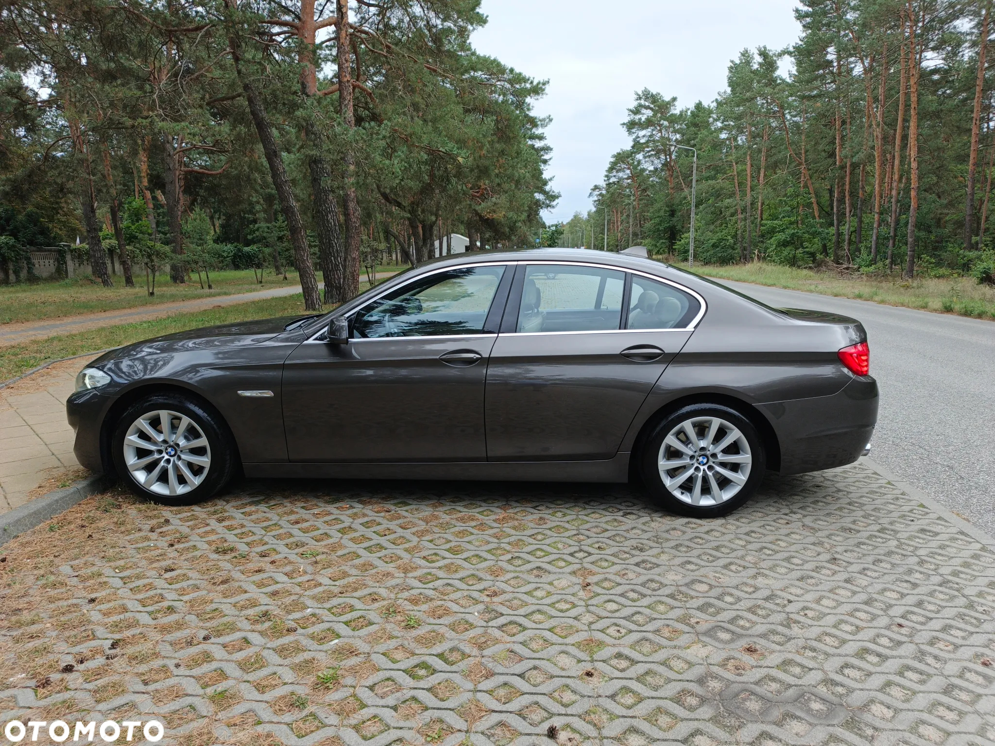 BMW Seria 5 - 11